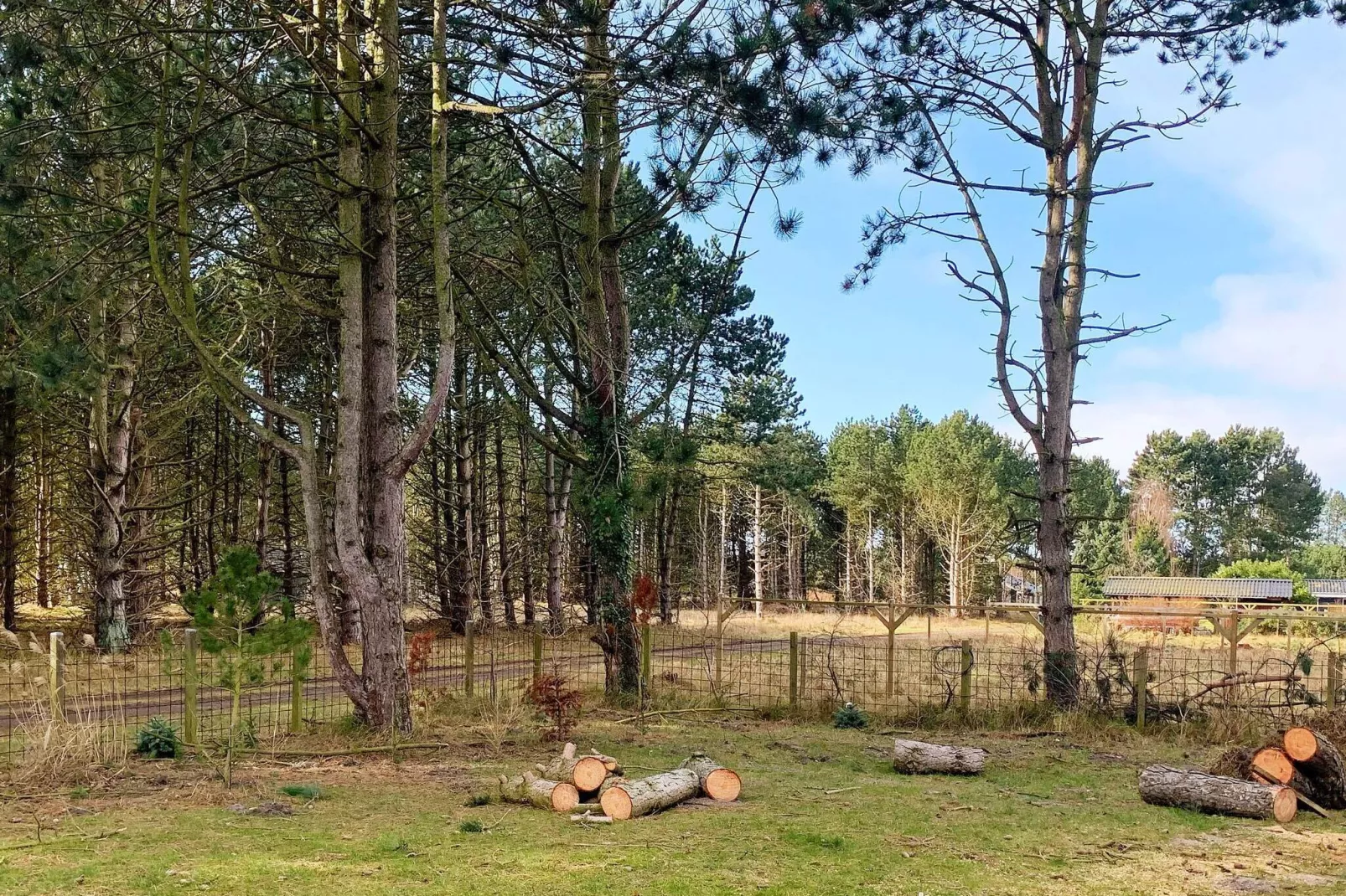 8 persoons vakantie huis in Rødby-By Traum-Uitzicht