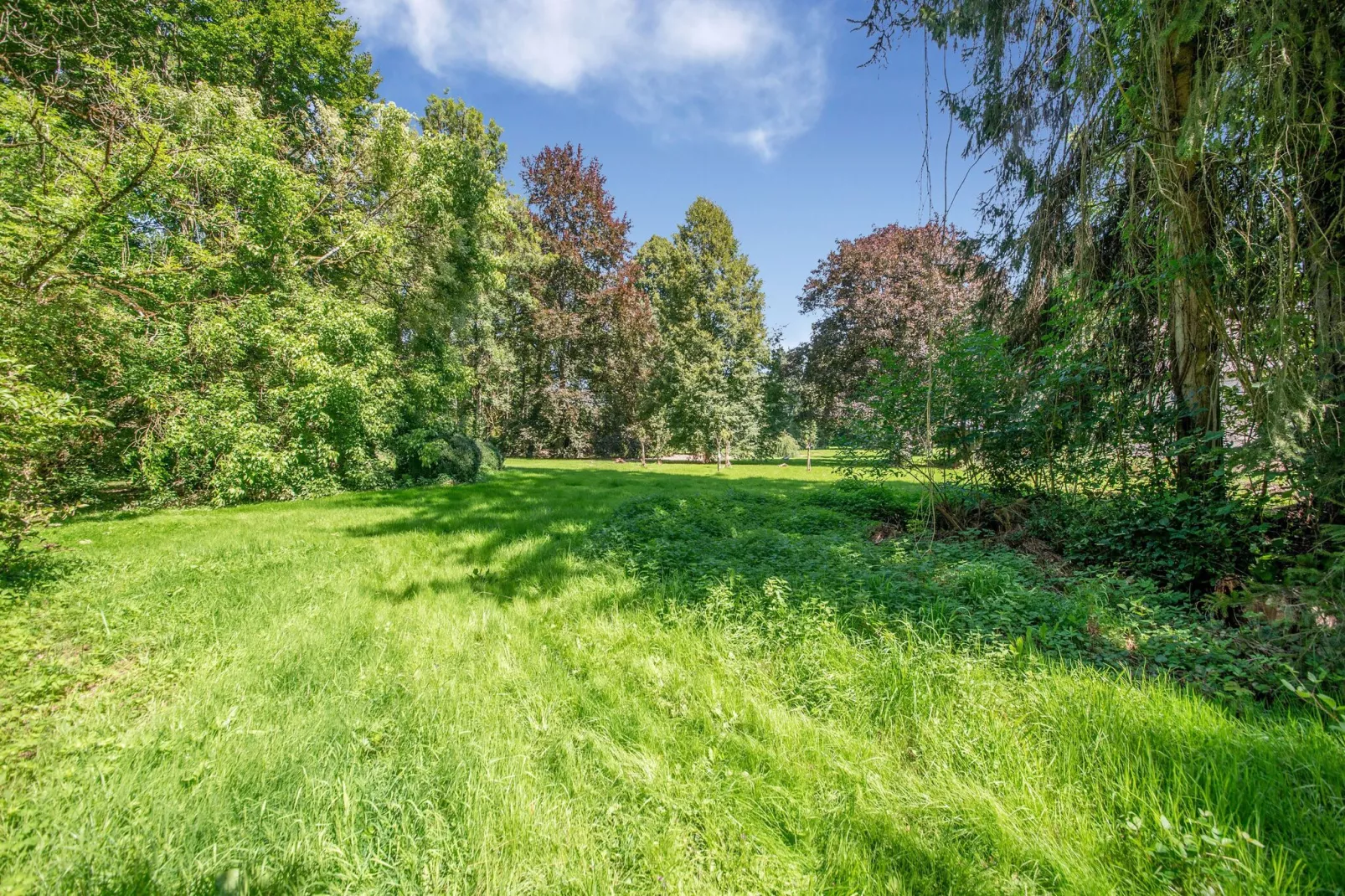 Château de Férot-Gebieden zomer 5km