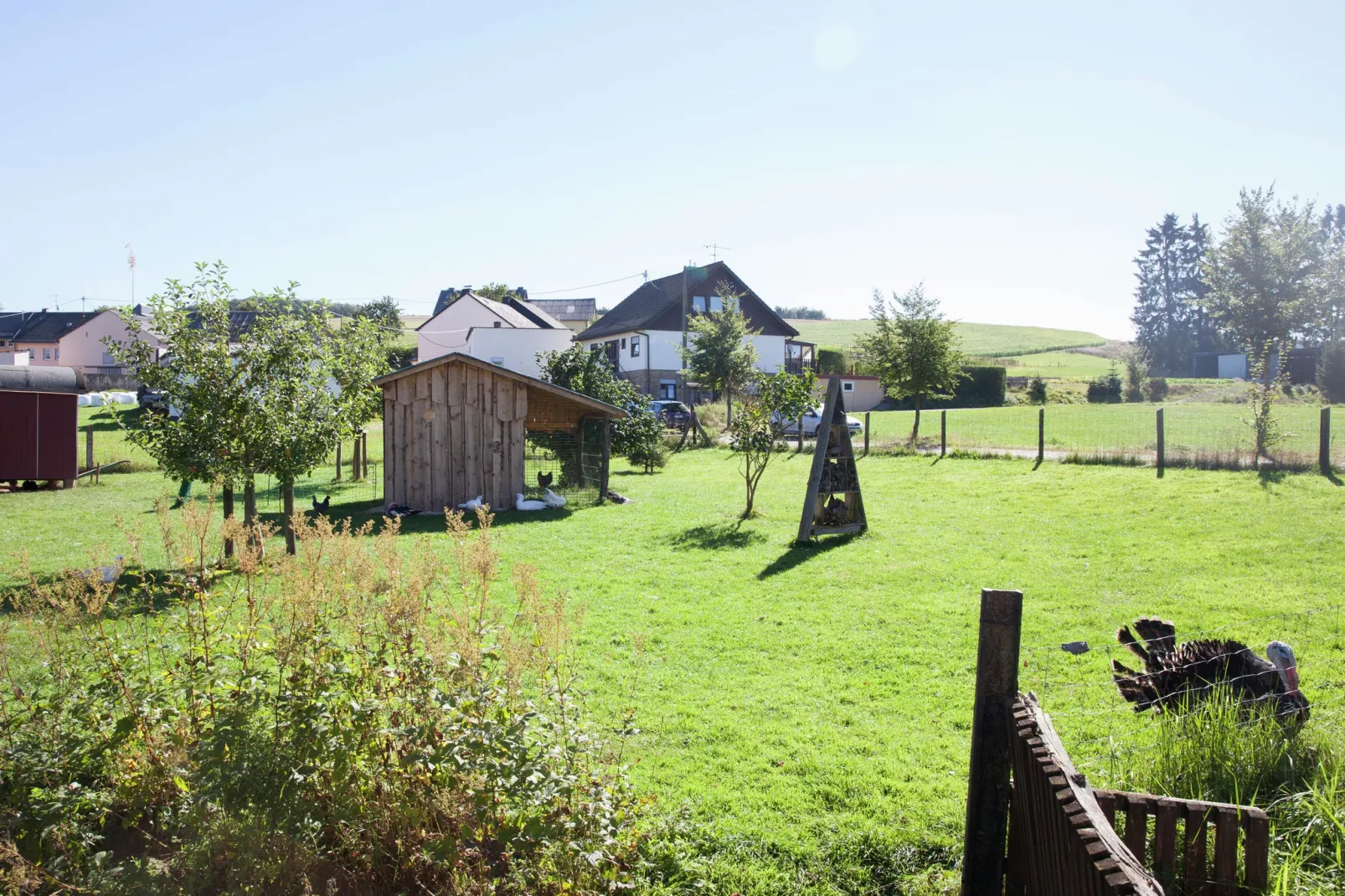 Haus Heinen-Uitzicht zomer