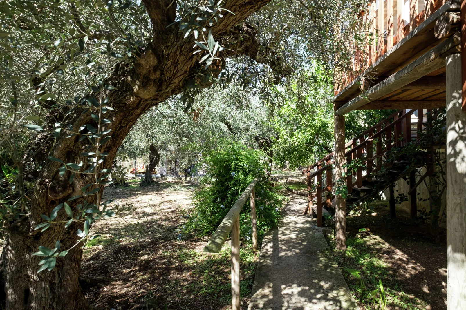 Montalbano-Gebieden zomer 1km