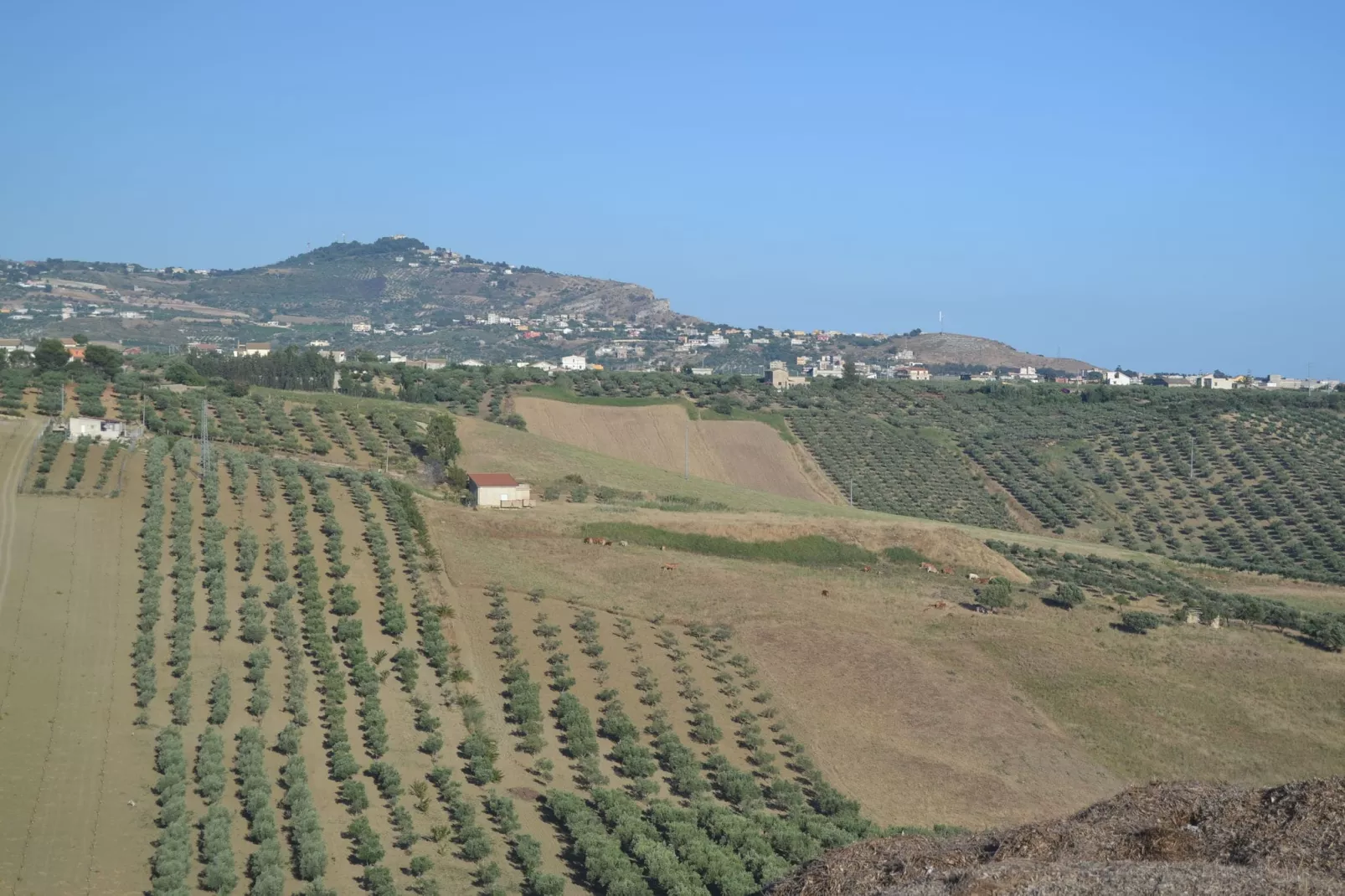 Montalbano-Gebieden zomer 5km