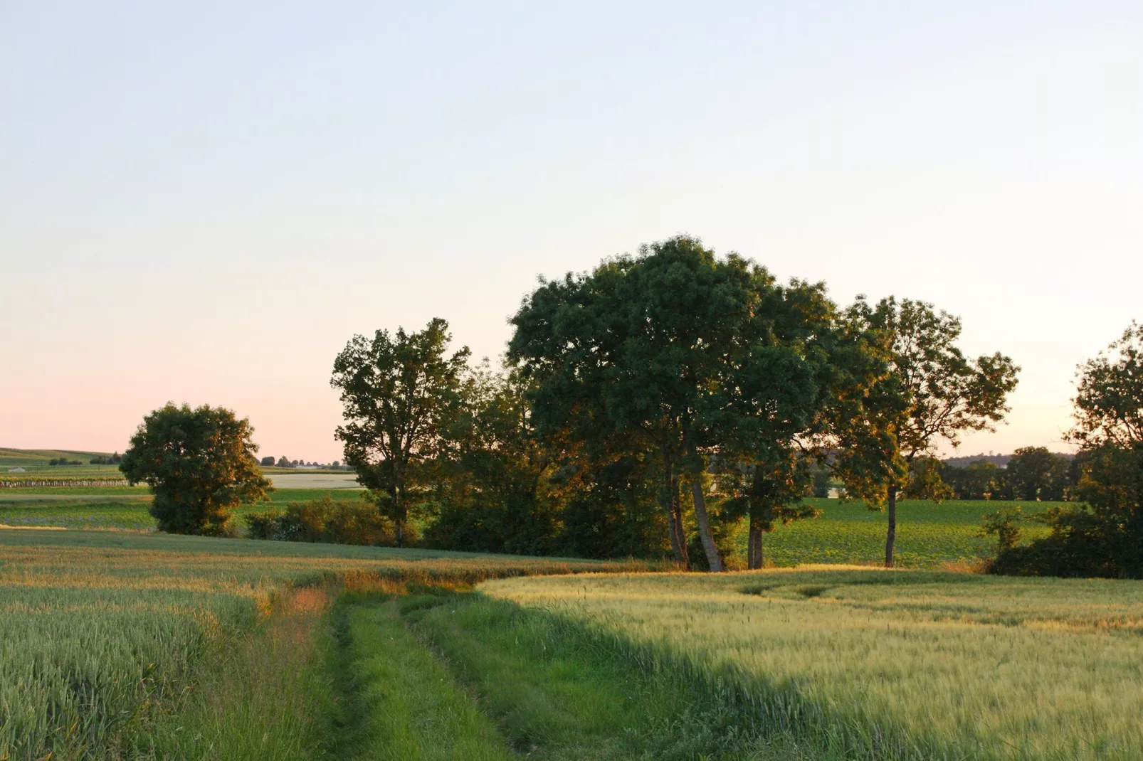 Villa Petite Champagne-Gebieden zomer 1km