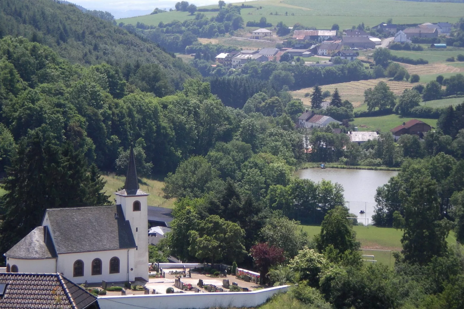 Feinen-Steils-Gebieden zomer 1km