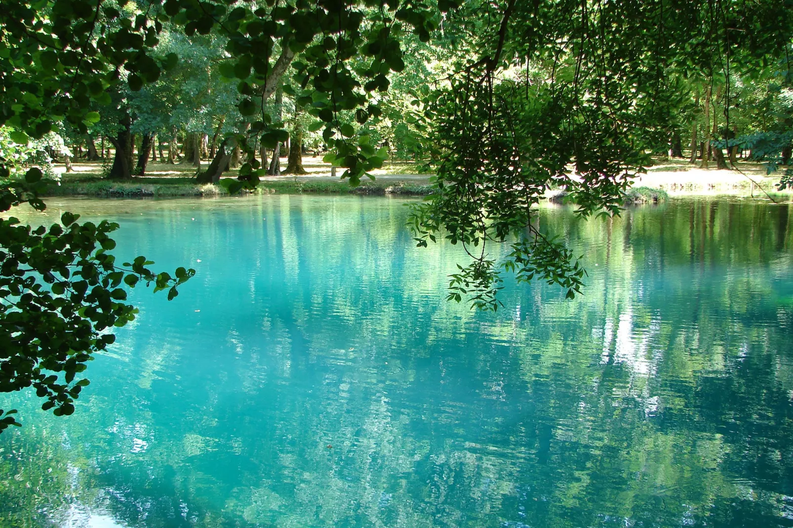 Villa Petite Champagne-Gebieden zomer 20km