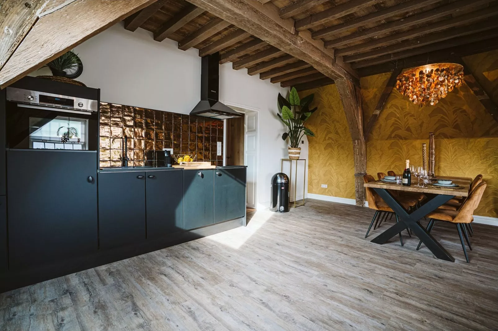 Gouden Leeuw- Appartement Paus Adrianus-Keuken