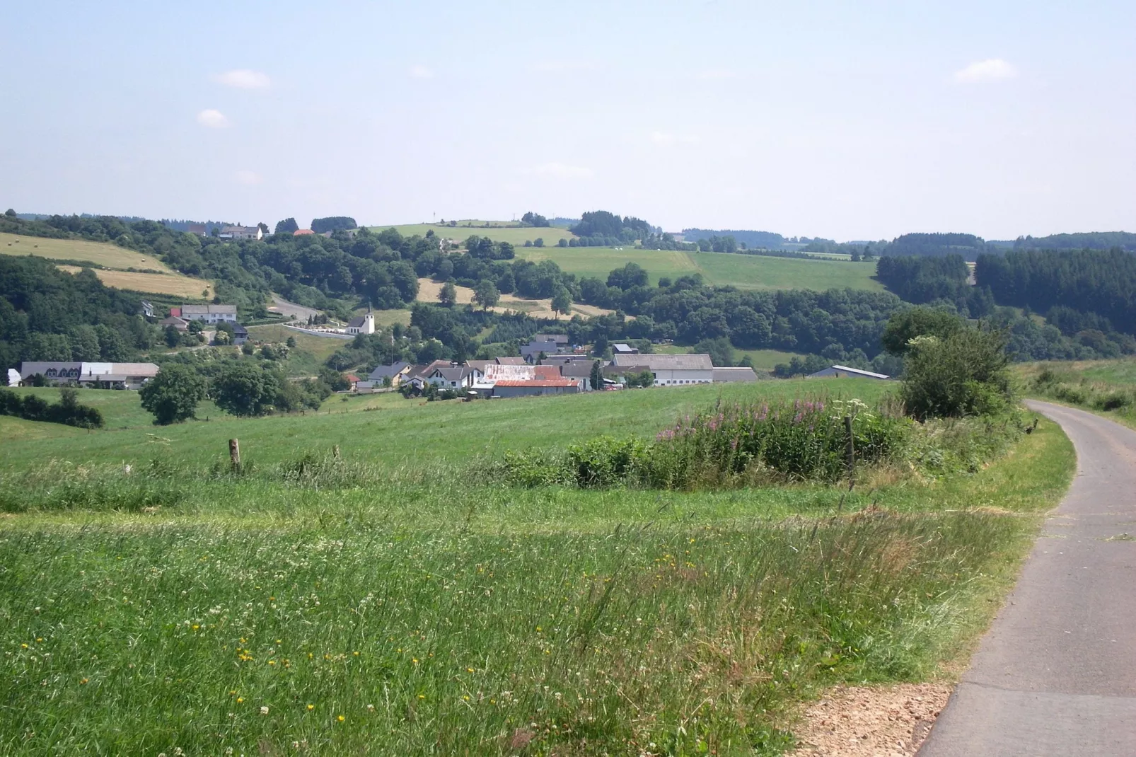 Feinen-Steils-Gebieden zomer 1km