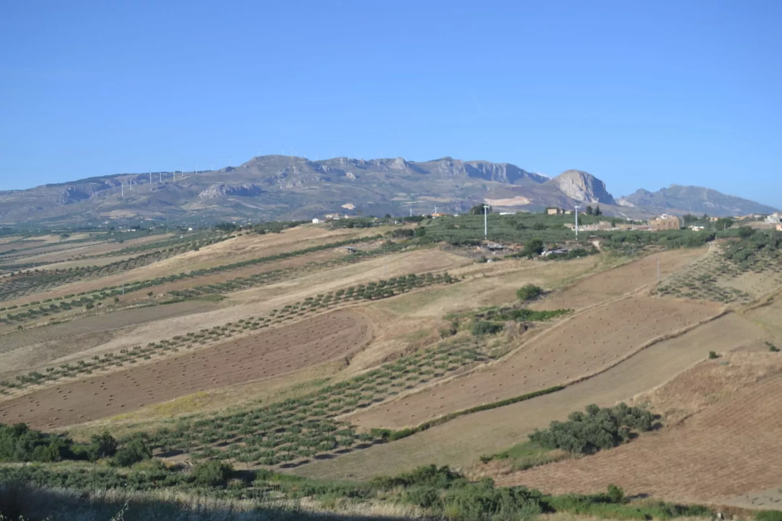 Montalbano Quattro-Gebieden zomer 5km