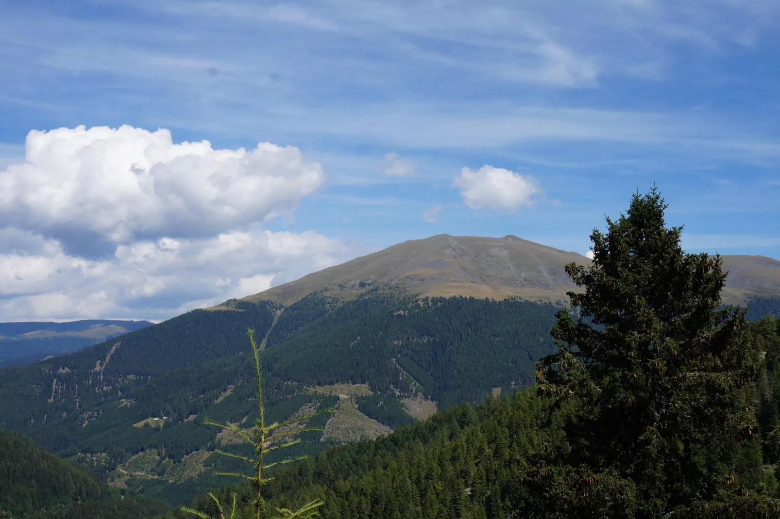 Chalet Bergliebe-Uitzicht zomer