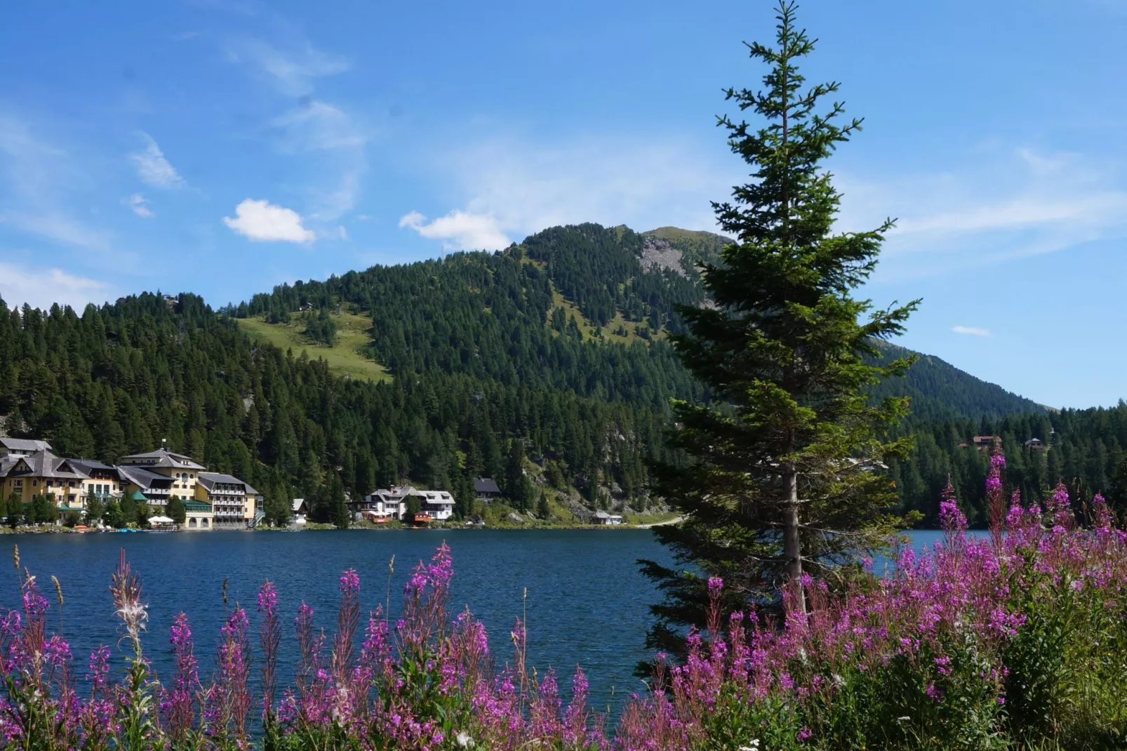 Chalet Bergliebe-Gebieden zomer 1km