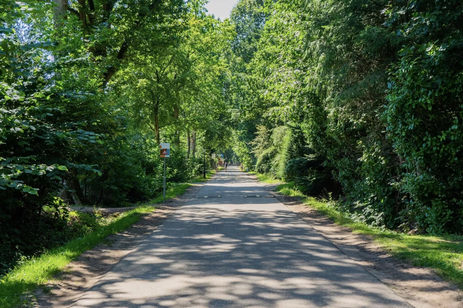 Resort De Utrechtse Heuvelrug 4-Gebieden zomer 1km