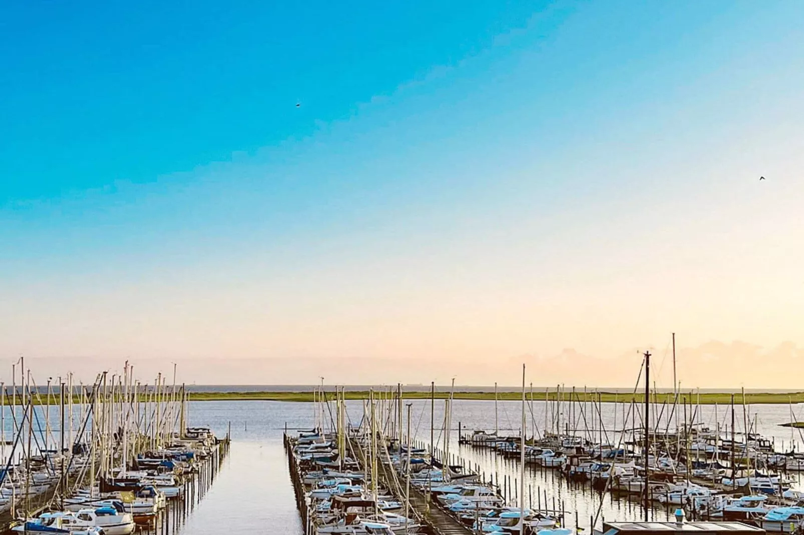 6 persoons vakantie huis in Wendtorf