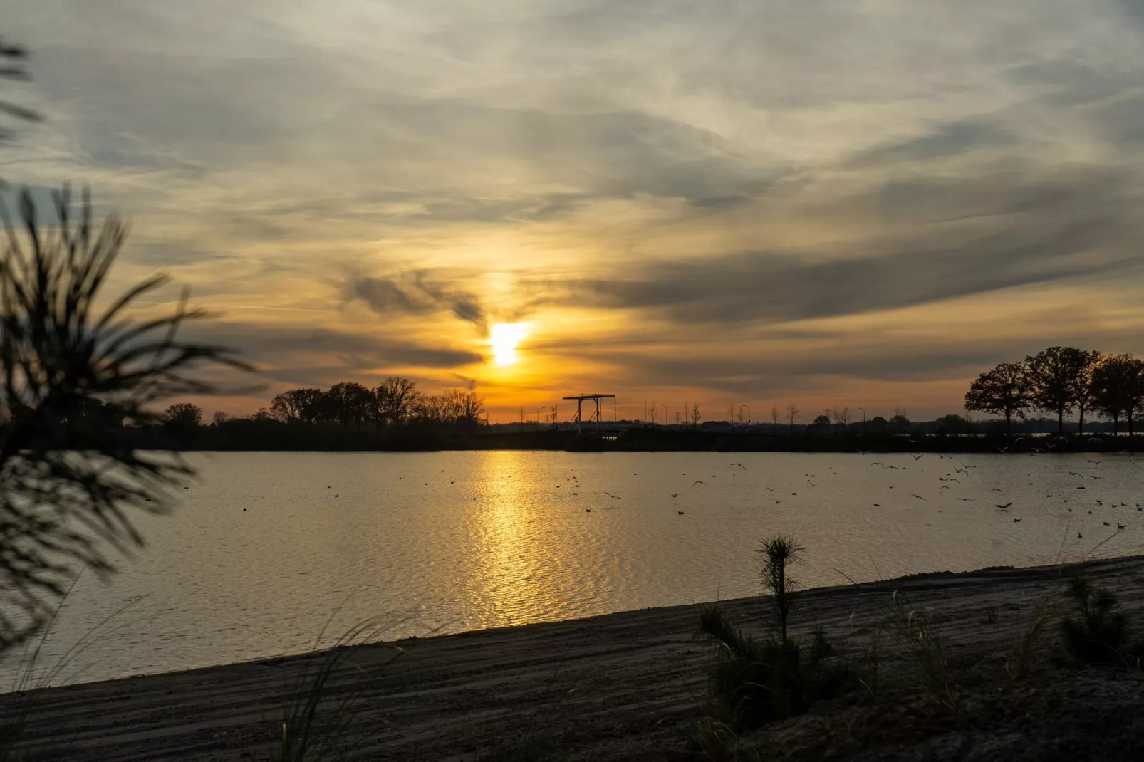 Resort aan de Maas 1-Gebieden zomer 1km