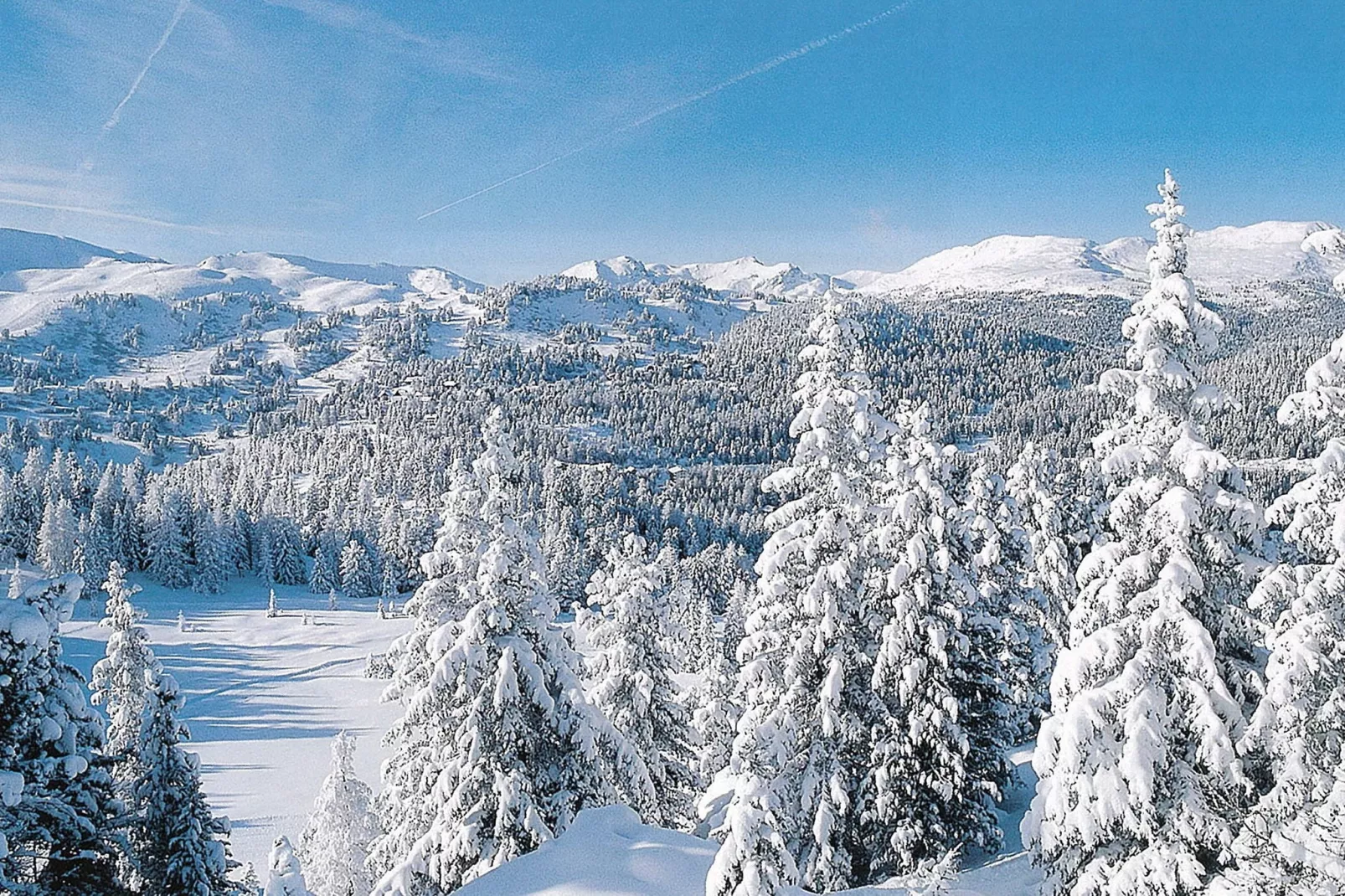 Chalet Almblick-Gebied winter 1km