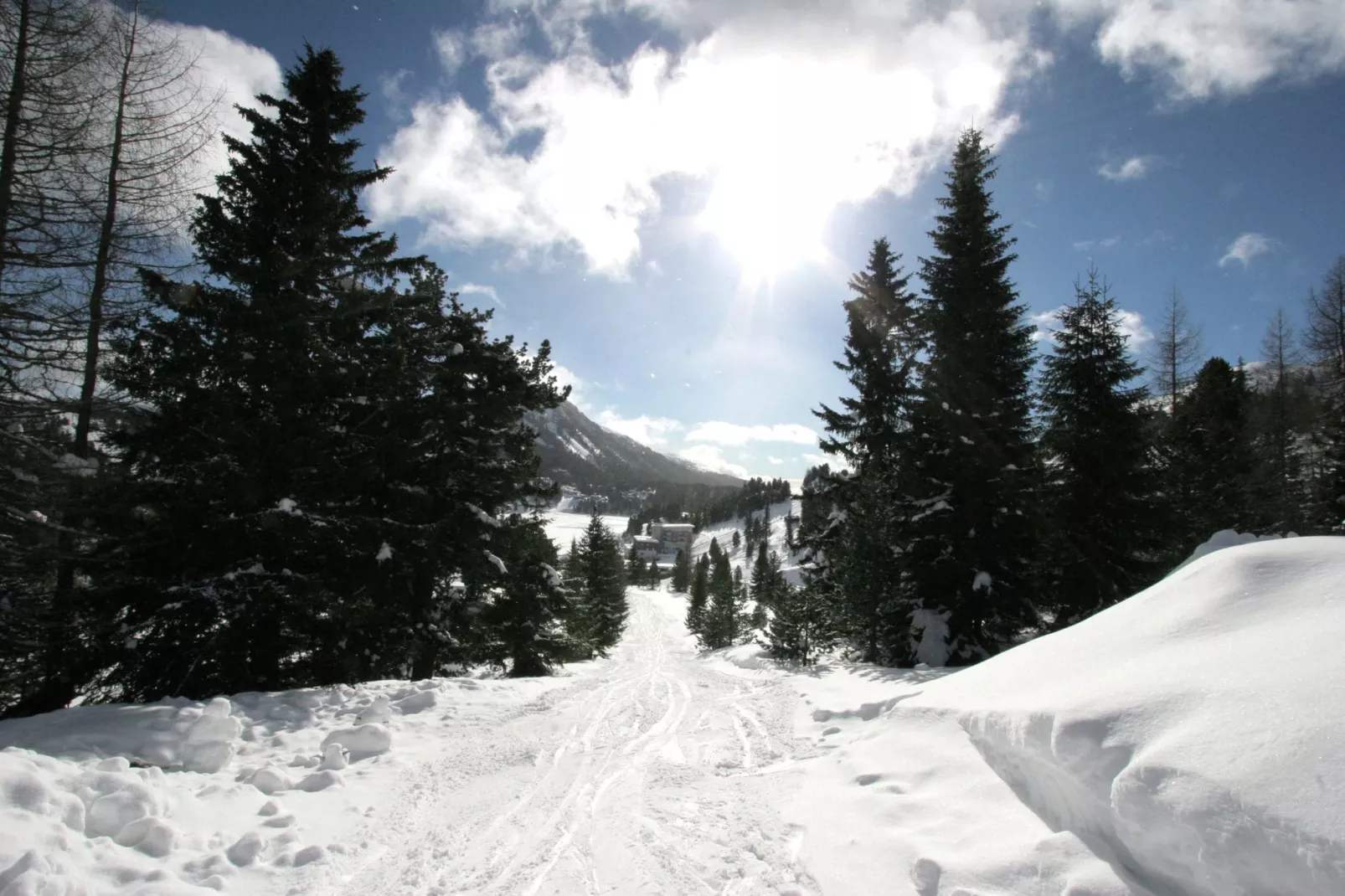 Chalet Almblick-Gebied winter 1km