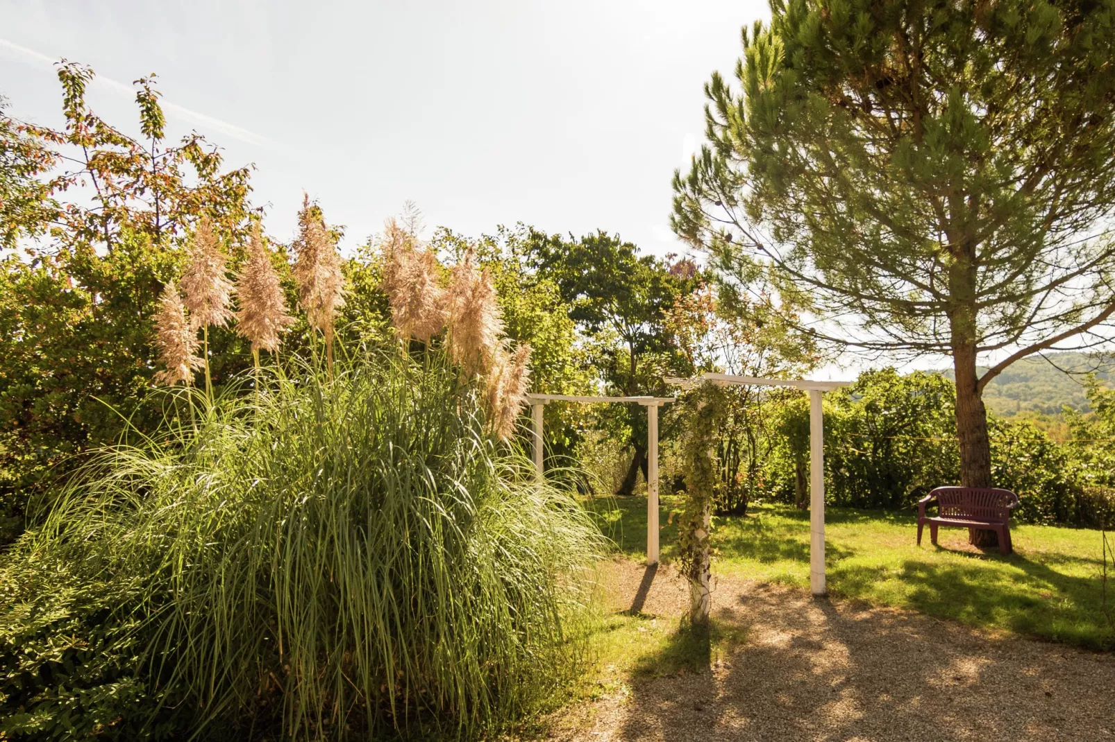 Le Rouvet près de Dordogne-Tuinen zomer