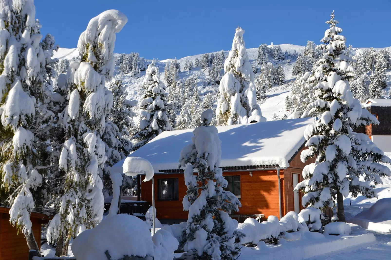 Haus Alpenröslein-Exterieur winter