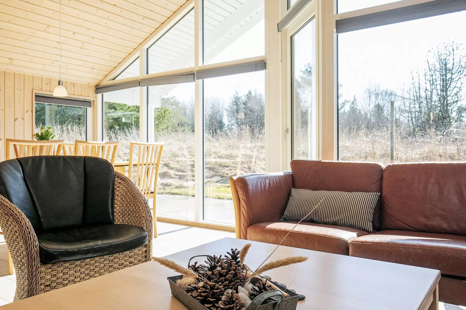 10 persoons vakantie huis in Ålbæk-By Traum-Binnen