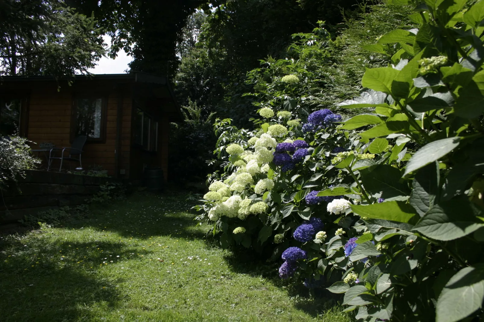 Chaletpark Kuiperberg 7-Tuinen zomer