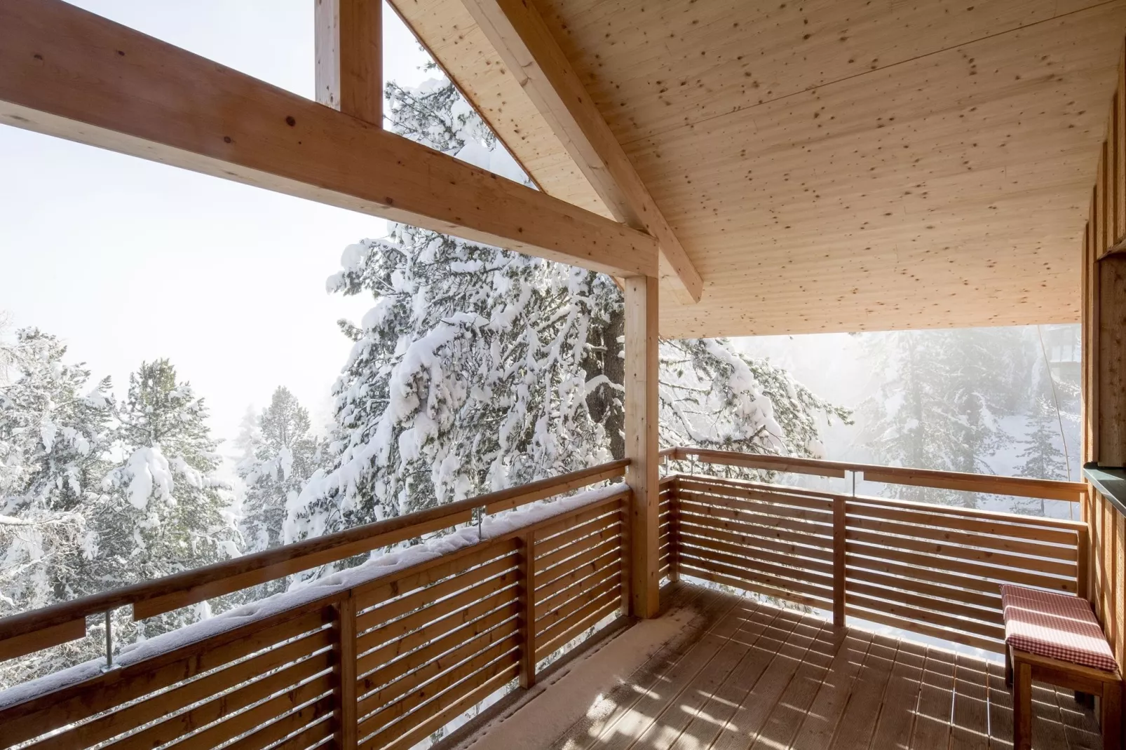 Alpenpark Turrach 6-Uitzicht winter