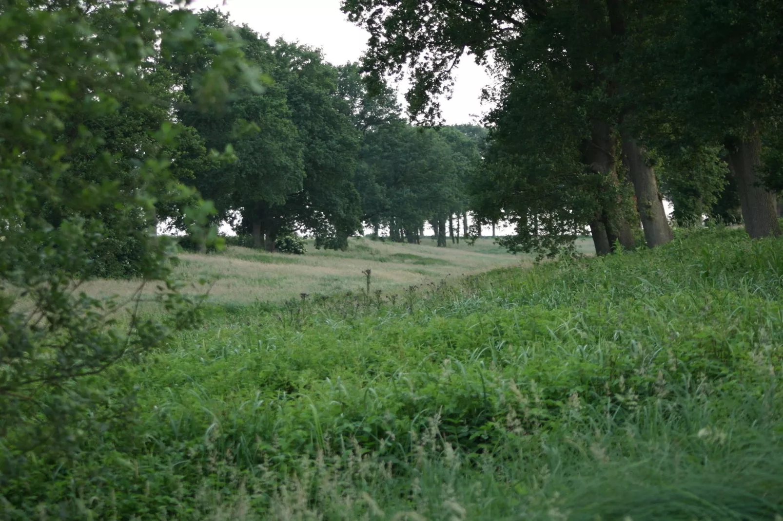 Chaletpark Kuiperberg 7-Gebieden zomer 5km