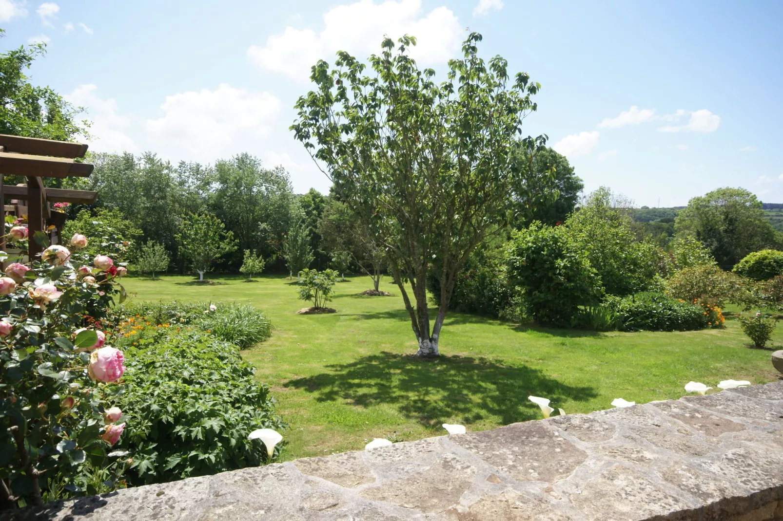 Maison de vacances Pont Croix-Uitzicht zomer