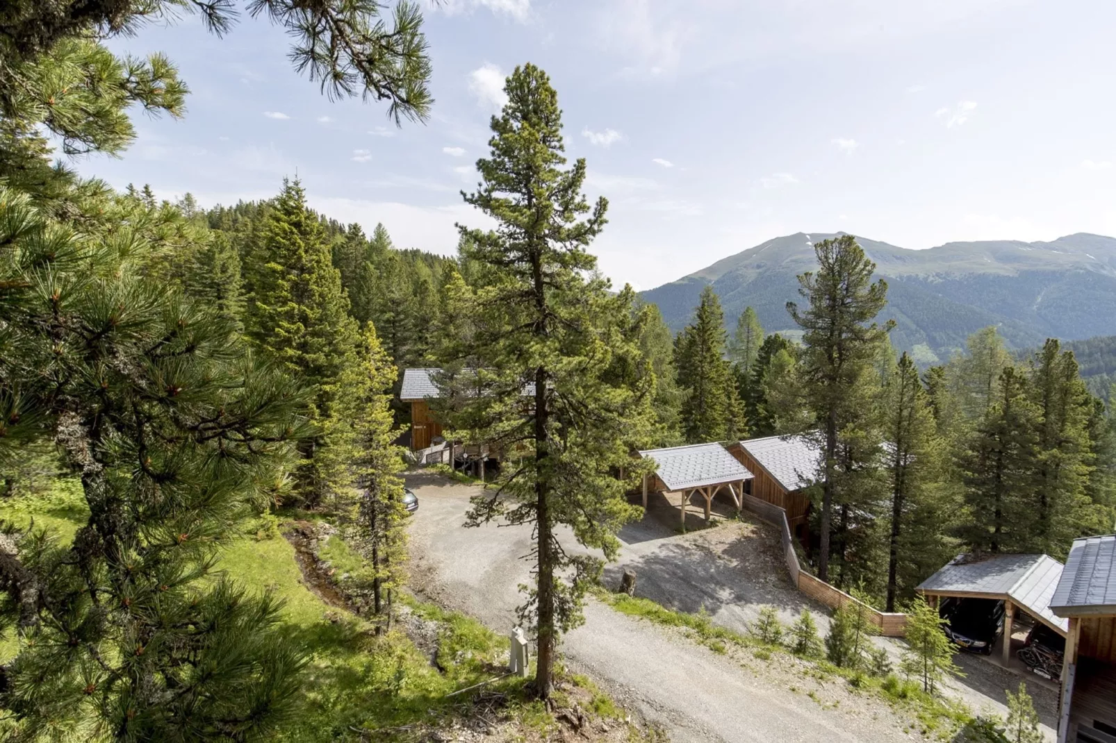 Alpenpark Turrach Chalets 1-Uitzicht zomer