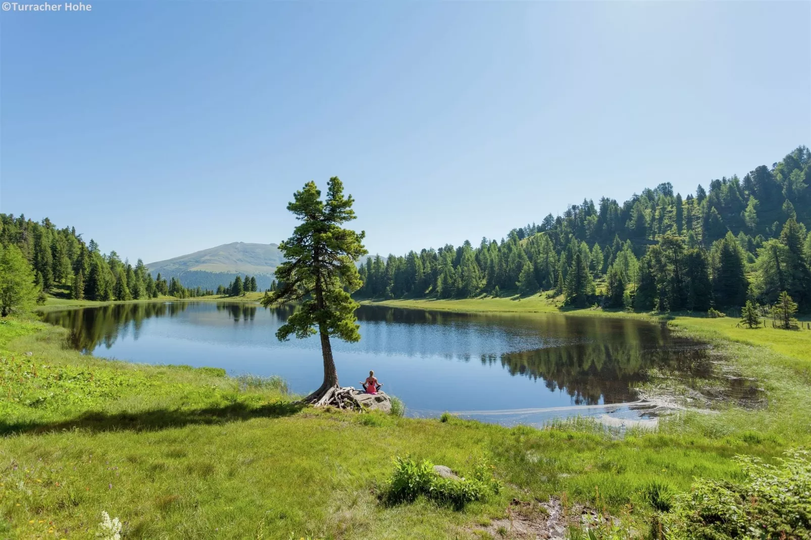 Alpenpark Turrach Chalets 1-Gebieden zomer 1km