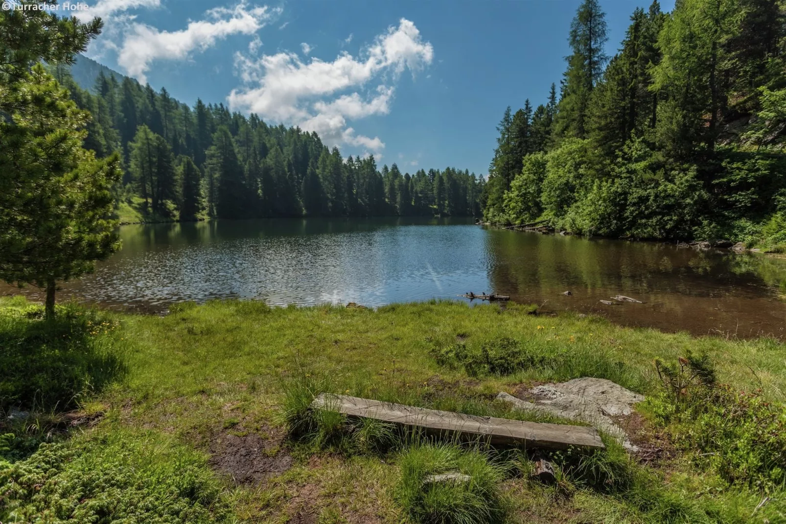 Alpenpark Turrach 6-Gebieden zomer 5km