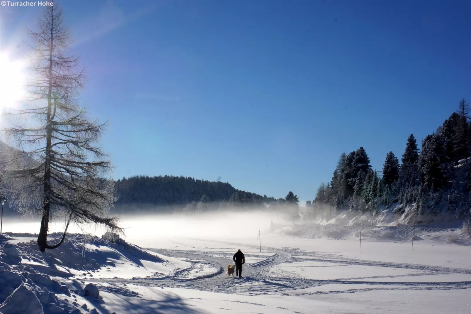 Alpenpark Turrach 6-Gebied winter 5km