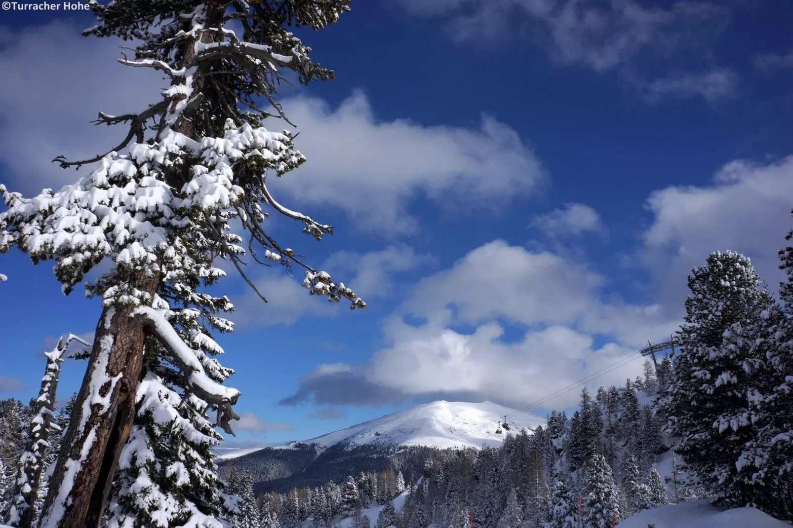 Alpenpark Turrach 6-Gebied winter 5km