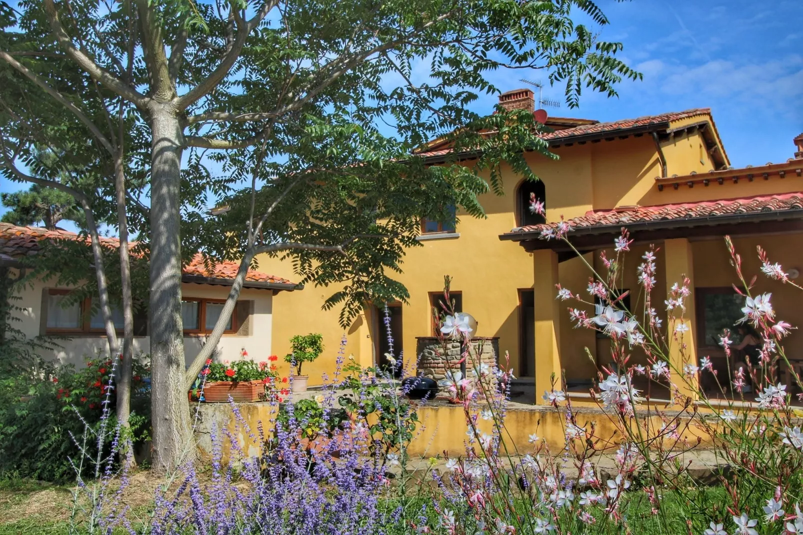 Podere Pulicciano Pozzo-Buitenkant zomer