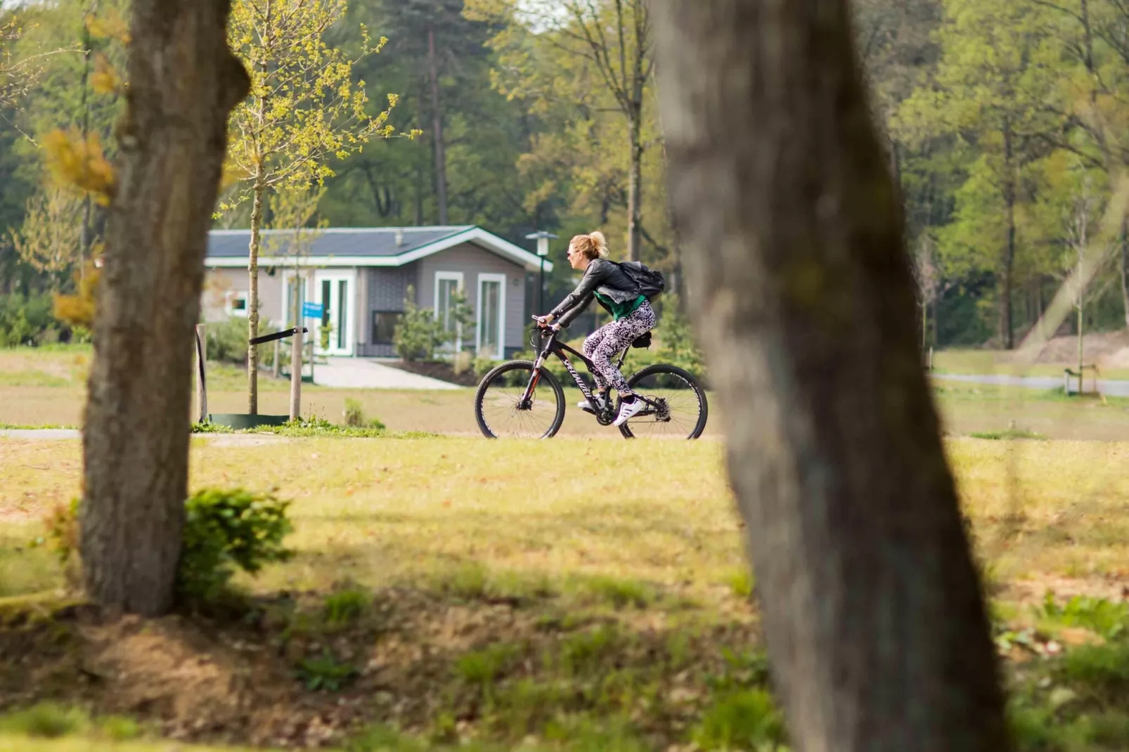 Recreatiepark Beekbergen 7-Gebieden zomer 1km