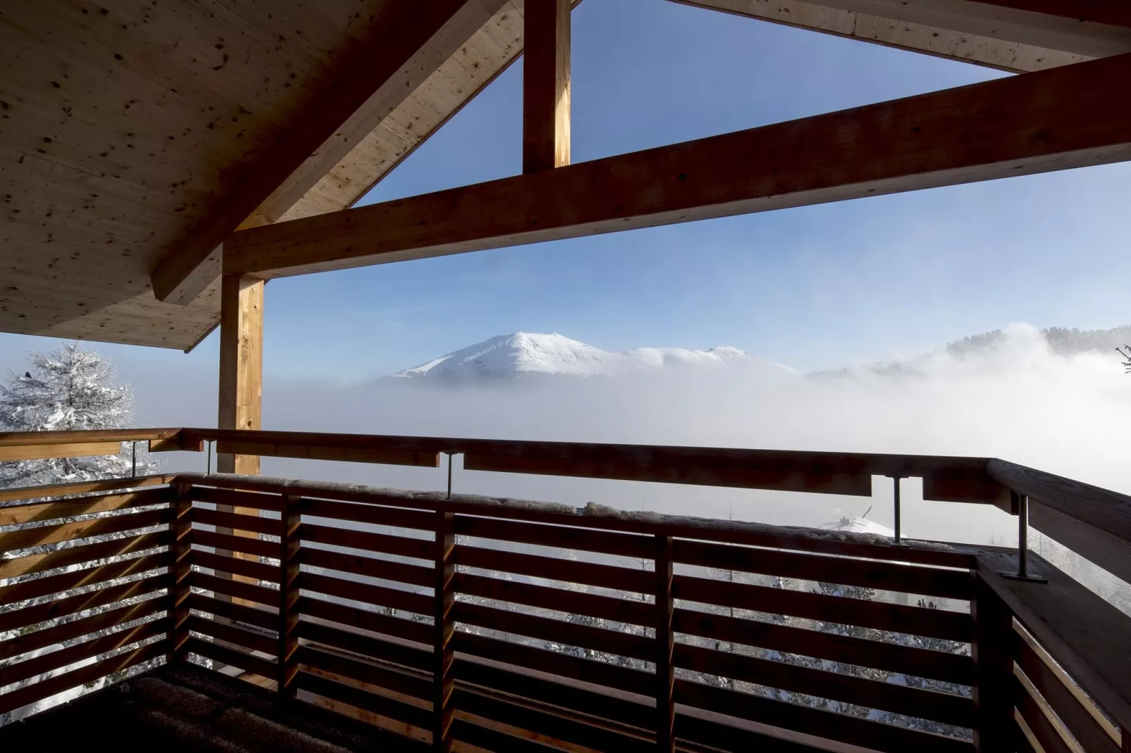 Alpenpark Turrach Chalets 2-Terrasbalkon