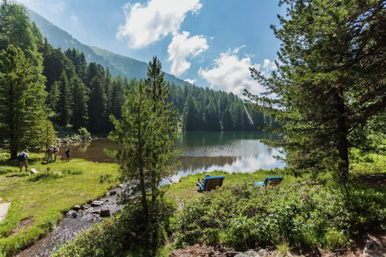 Alpenpark Turrach Chalets 2-Gebieden zomer 5km