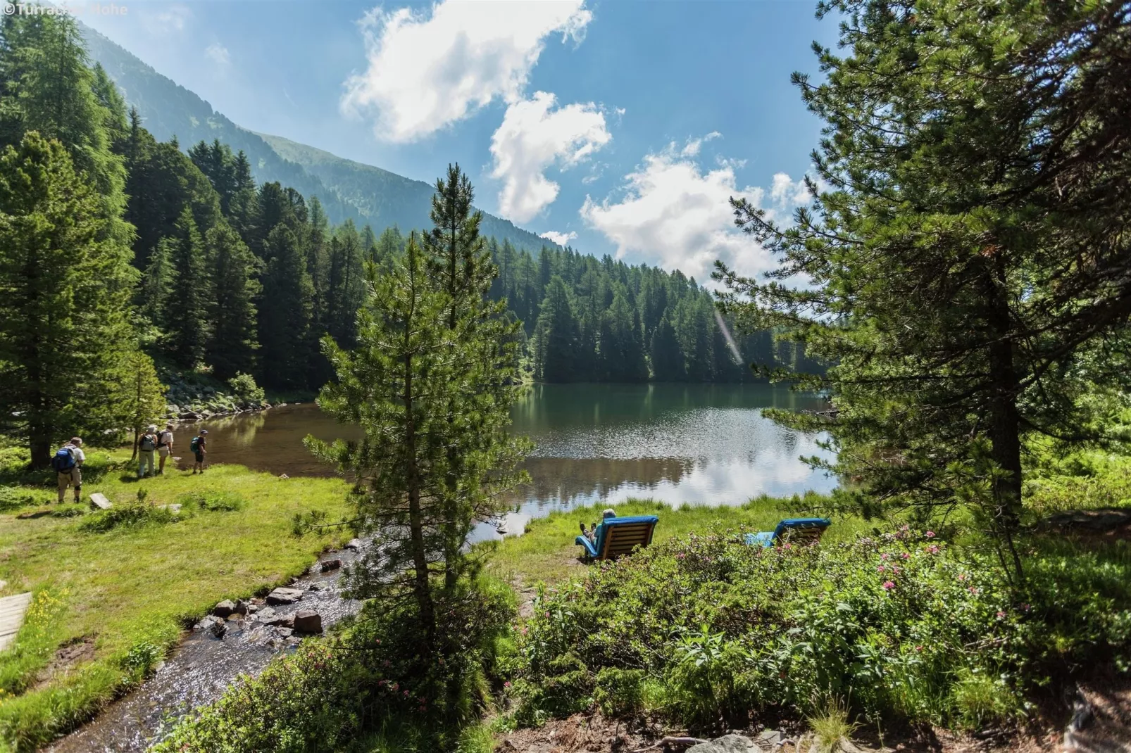 Alpenpark Turrach 1-Gebieden zomer 5km