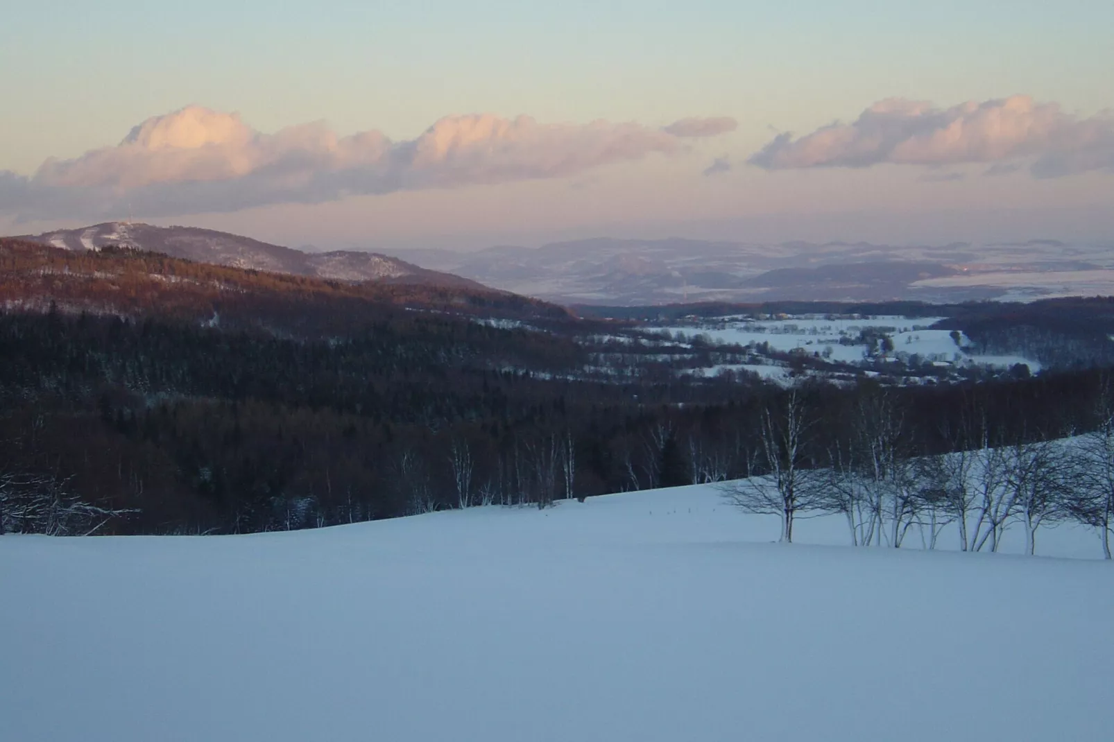 Stela-Gebied winter 1km