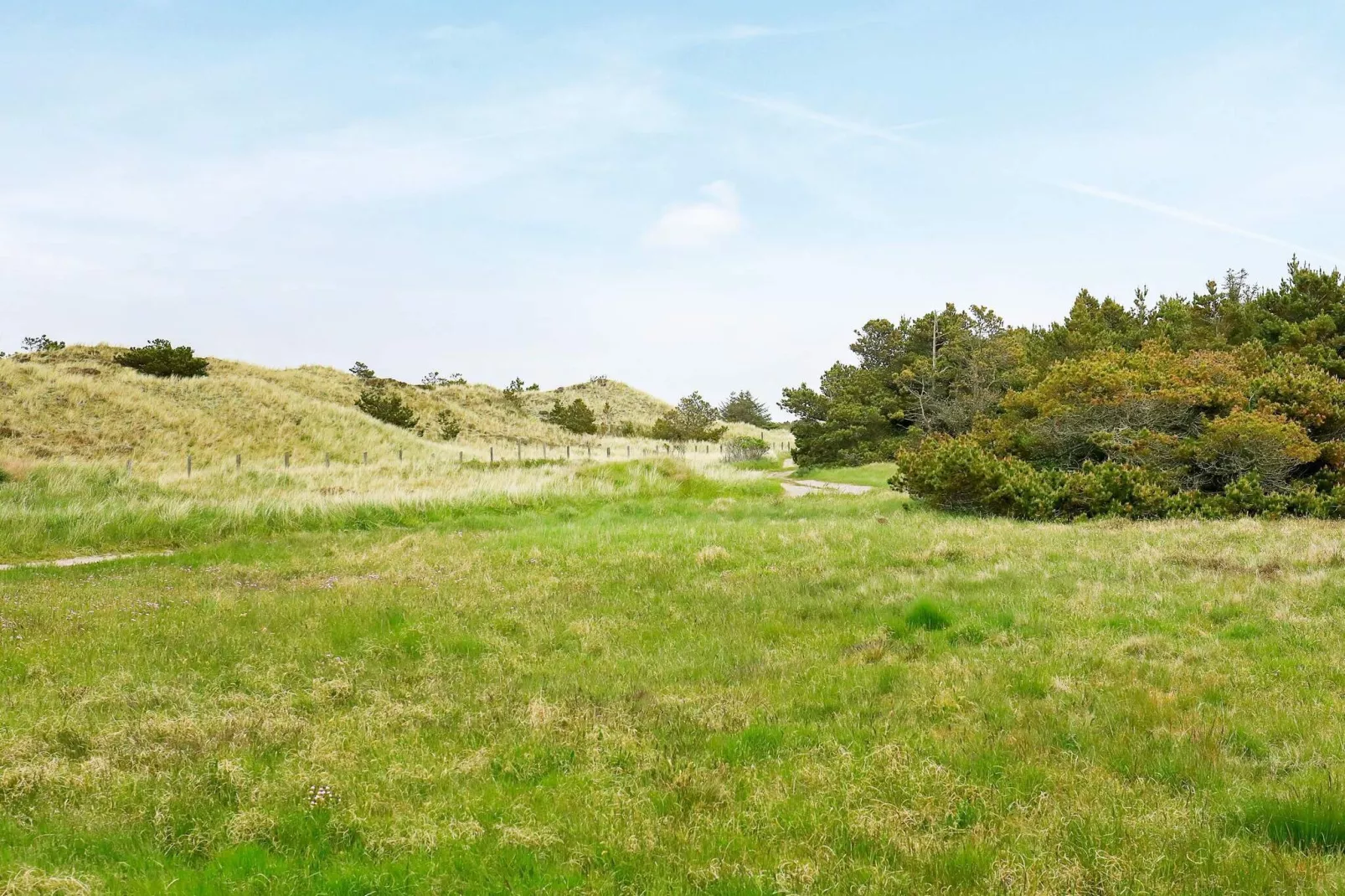 4 persoons vakantie huis in Skagen-By Traum-Uitzicht