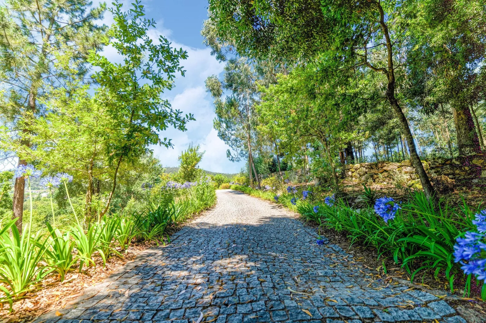 Mira-Gebieden zomer 5km