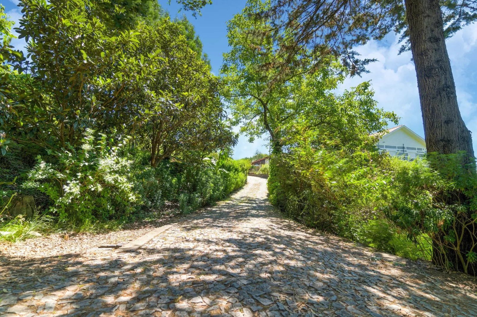 Mira-Gebieden zomer 5km