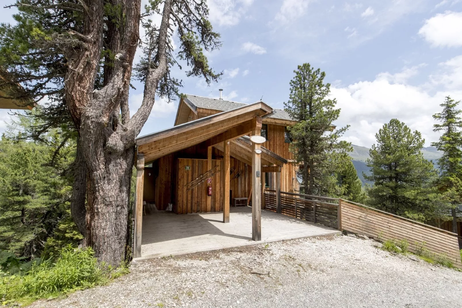 Alpenpark Turrach 14-Buitenkant zomer
