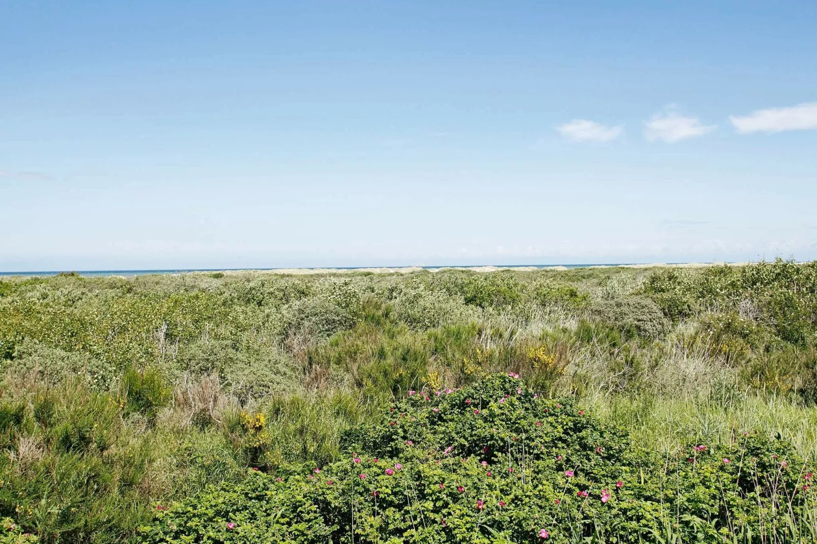 8 persoons vakantie huis in Skagen