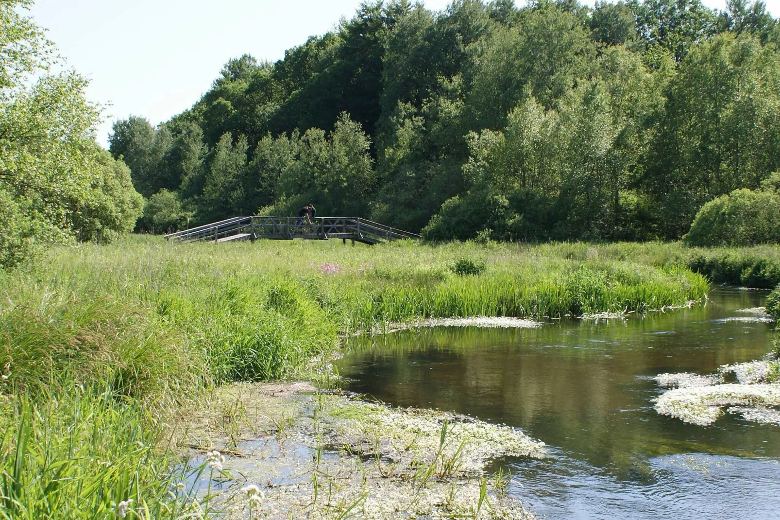 5 persoons vakantie huis in Hovborg-By Traum