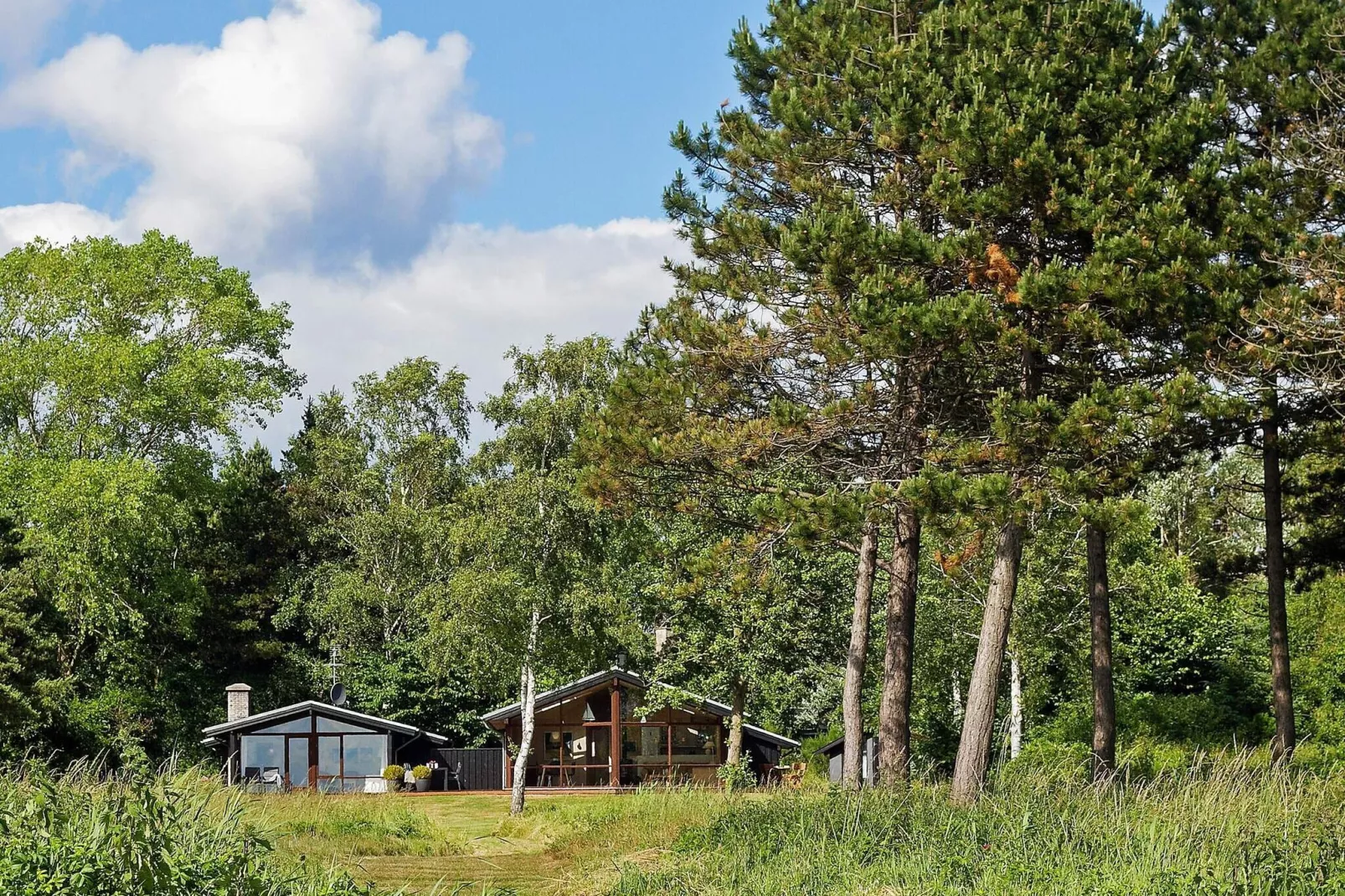 4 persoons vakantie huis in Knebel-Buitenlucht