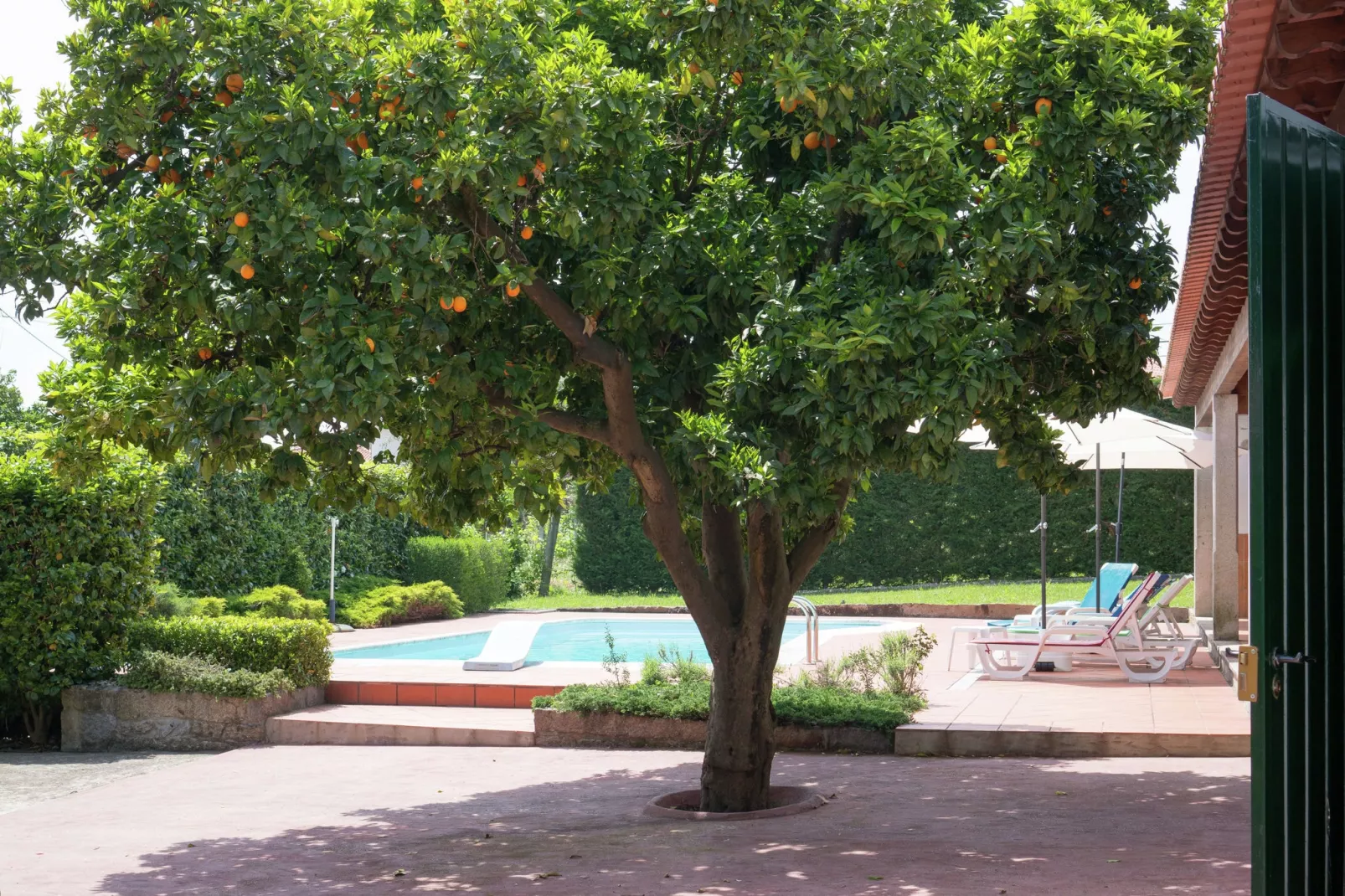 Casa da Castanheta-Tuinen zomer