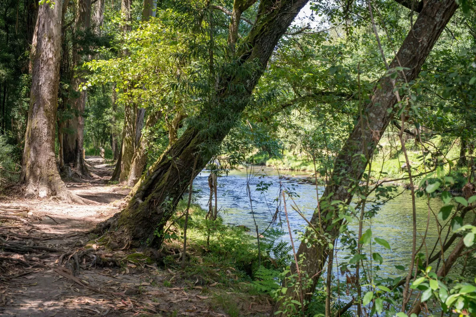 Casa da Castanheta-Gebieden zomer 5km