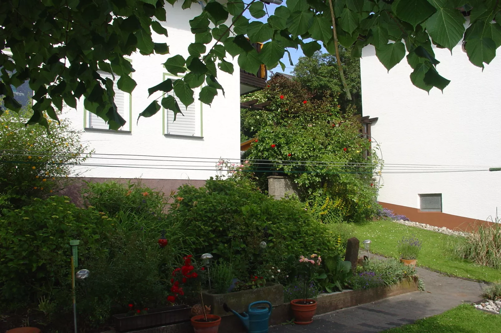 Ferienwohnung Waldeifel-Buitenkant zomer