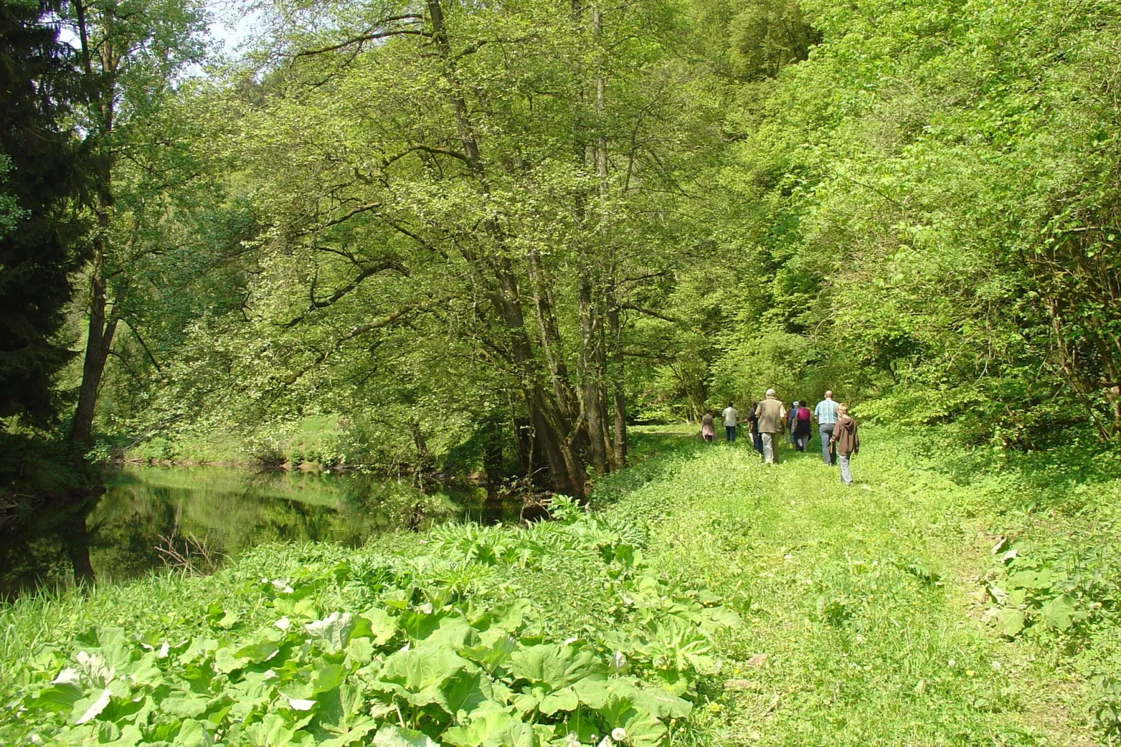 Ferienwohnung Waldeifel-Gebieden zomer 5km