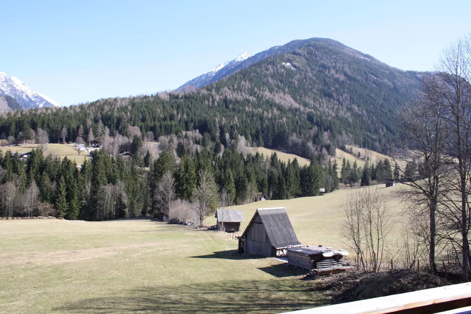 Appartement Mitterberg-Uitzicht zomer