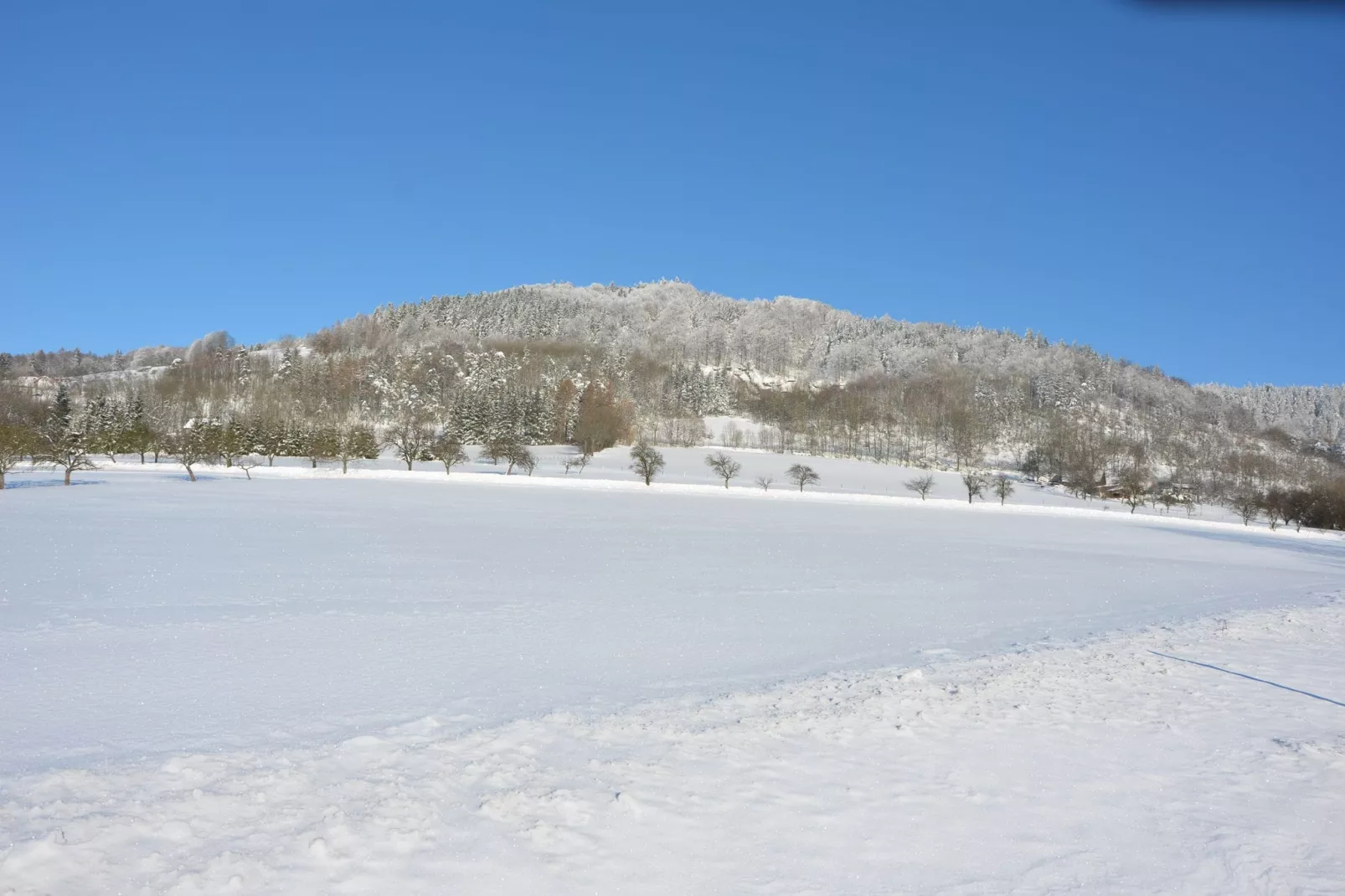 Vladka-Gebied winter 20km