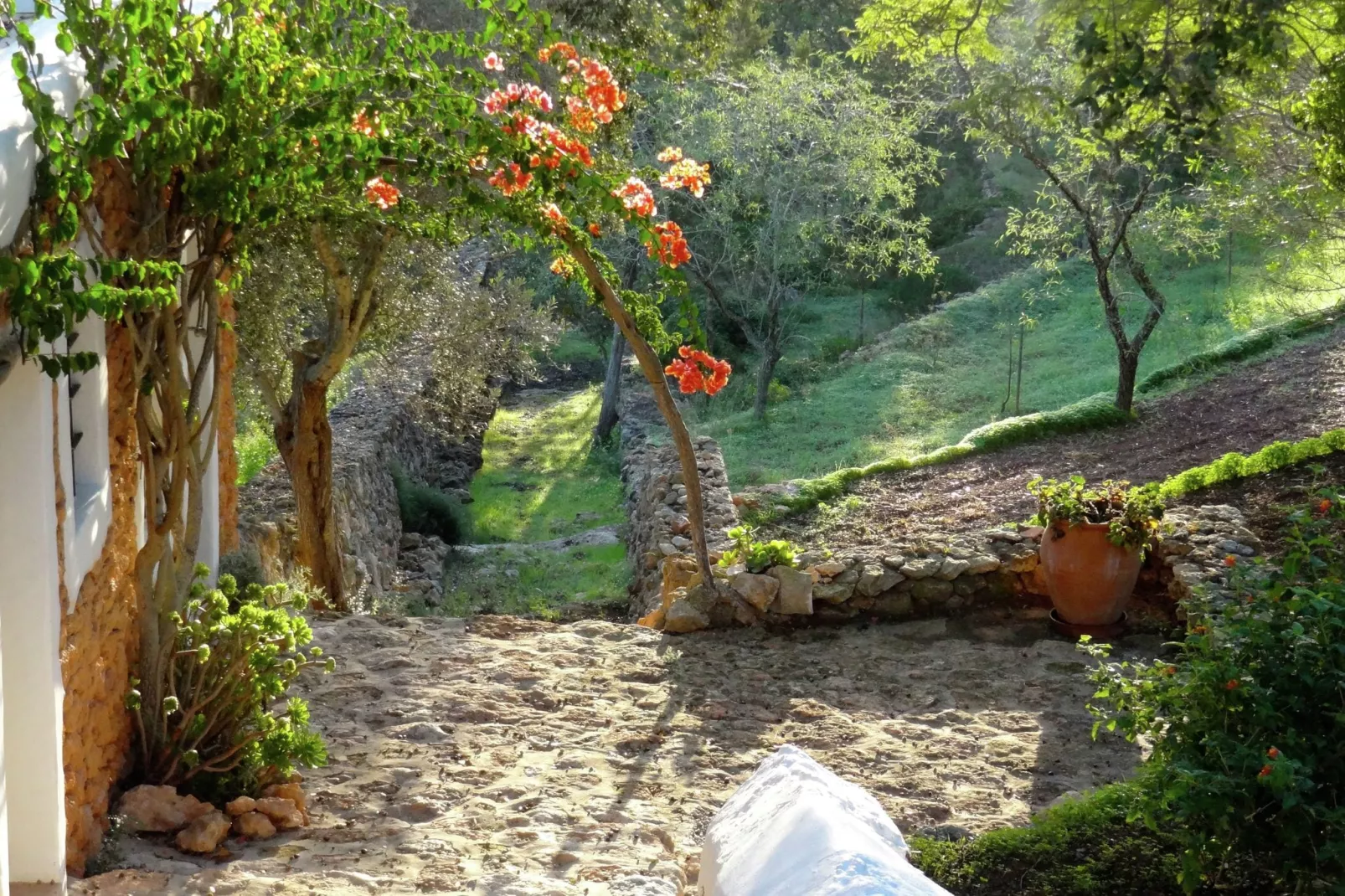 Finca Planetas-Tuinen zomer